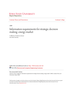Information requirements for strategic decision making: energy market