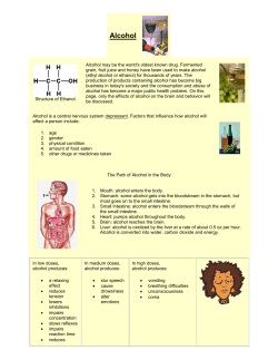 Effects of Drugs on Brain2