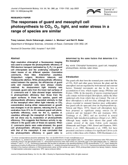 The responses of guard and mesophyll cell photosynthesis to CO2