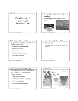 Plant Diversity I How Plants Colonized Land