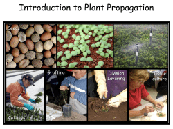 Introduction to Plant Propagation