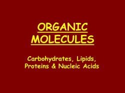organic molecules - moleculesoflife1