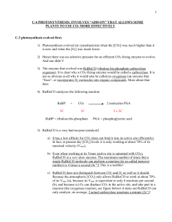 C-4 PHOTOSYNTHESIS: INVOLVES “ADD