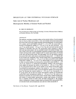 MOLECULES AT THE EXTERNAL NUCLEAR SURFACE Sialic Acid