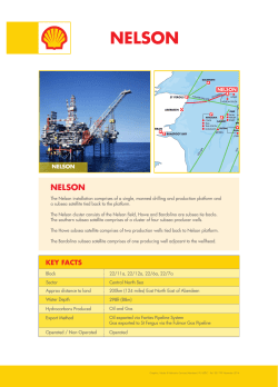 NELSON 021799_Asset Fact Sheets MARKETING