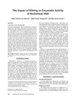 The Impact of Kilning on Enzymatic Activity of