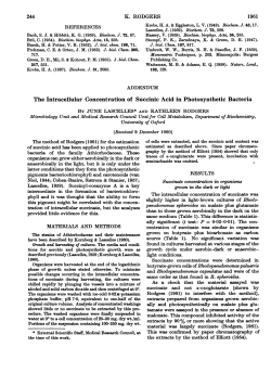 The Intracellular Concentration of Succinic Acid in Photosynthetic