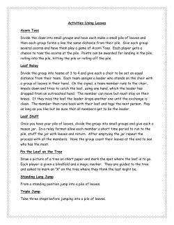 Activities Using Leaves Acorn Toss Divide the class into small