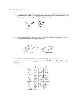 organs and human organ systems
