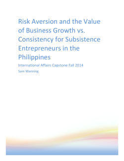 Risk Aversion and the Value of Business Growth vs. Consistency for