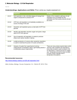 2. Molecular Biology &ndash; 2.8 Cell Respiration Name: Understandings