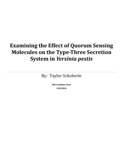 Examining the Effect of Quorum Sensing Molecules on the Type