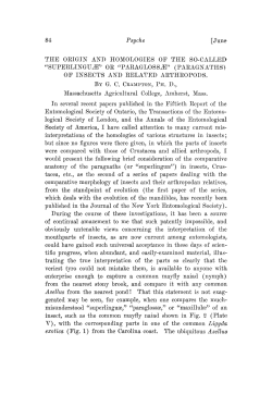 June tacea, etc., as the second of a series of papers