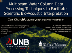 Multibeam Water Column Data Processing Techniques to Facilitate