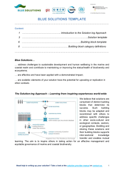 BLUE SOLUTIONS TEMPLATE Content 1