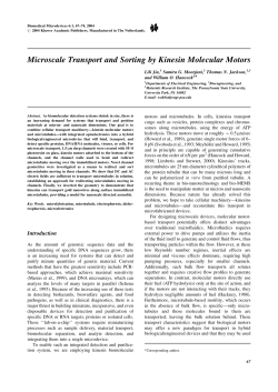 Microscale Transport and Sorting by Kinesin Molecular Motors