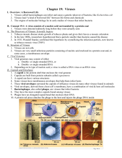 Chapter 19 Viruses (2)