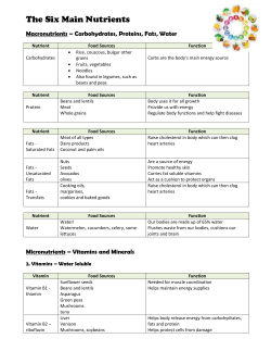 The Six Main Nutrients-answers