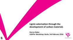 Lignin valorization through the development of carbon materials