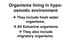 Organisms living in hypo-osmotic environment