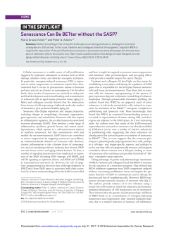 Senescence Can Be BETter without the SASP?