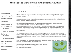 18 Biodiesel from algae Kamnee 8