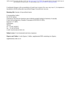 Coordinated changes in the accumulation of metal ions in maize