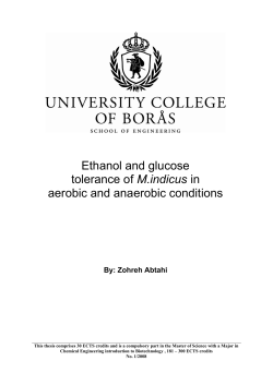 Ethanol and glucose tolerance of M.indicus in aerobic