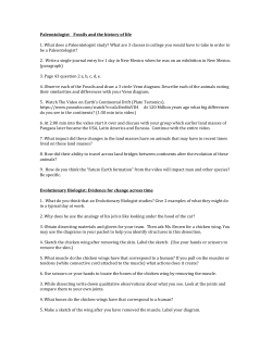 4 Scientists Questions and Instructions