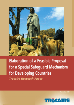 Elaboration of a Feasible Proposal for a Special Safeguard