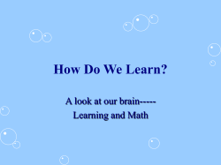 brain math