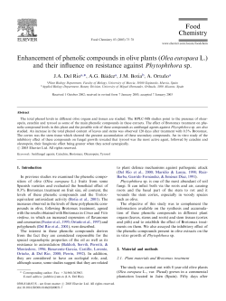 Enhancement of phenolic compounds in olive plants (Olea