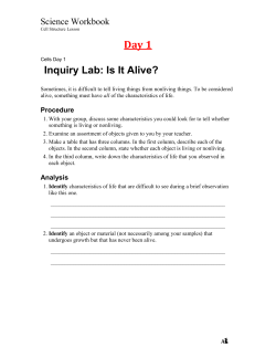 Cells Workbook - AGGREGATED