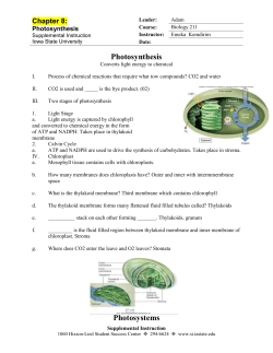 Chapter 8: Photosynthesis
