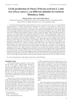 Grain production of wheat (Triticum aestivum L.) and rice (Oryza