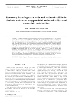 Full text in pdf format