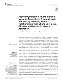 Rapid Physiological Fluctuations in Nucleus Accumbens Oxygen