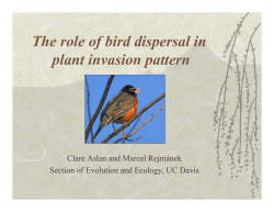 The role of bird dispersal in plant invasion pattern
