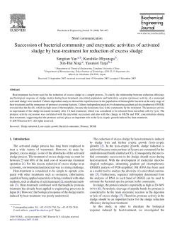 Succession of bacterial community and enzymatic activities of