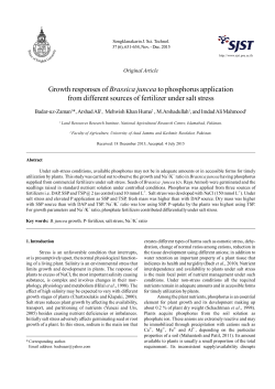 Growth responses of Brassica juncea to phosphorus application