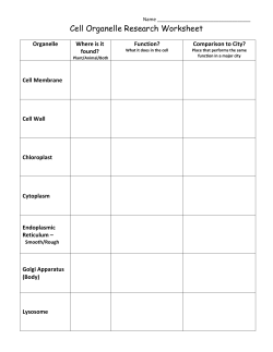 Cell Organelle Research Worksheet