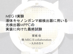 MEG II** *********************MPPC