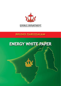 energy white paper - Department of Electrical Services