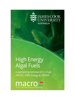 High Energy Algal Fuels APx - Australian Renewable Energy Agency