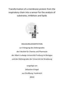 Transformation of a membrane protein from the respiratory chain
