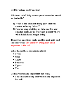 Cell Structure and Function! All about cells! Why do we spend an