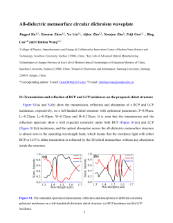 Supporting Information