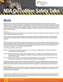 Molds belong to a category of organisms called fungi. They
