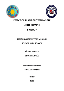 EFFECT OF PLANT GROWTH ANGLE LIGHT COMING BIOLOGY