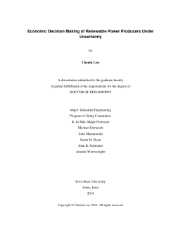 Economic Decision Making of Renewable Power Producers Under